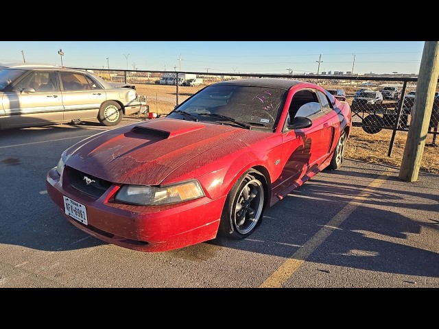 BUY FORD MUSTANG 2002 2DR CPE GT PREMIUM, DAX of Wichita Falls Auto Auction