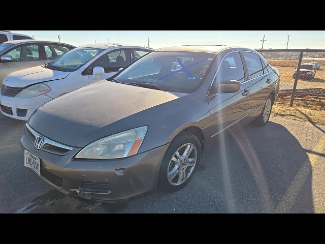BUY HONDA ACCORD SDN 2007 4DR I4 AT EX-L, DAX of Wichita Falls Auto Auction